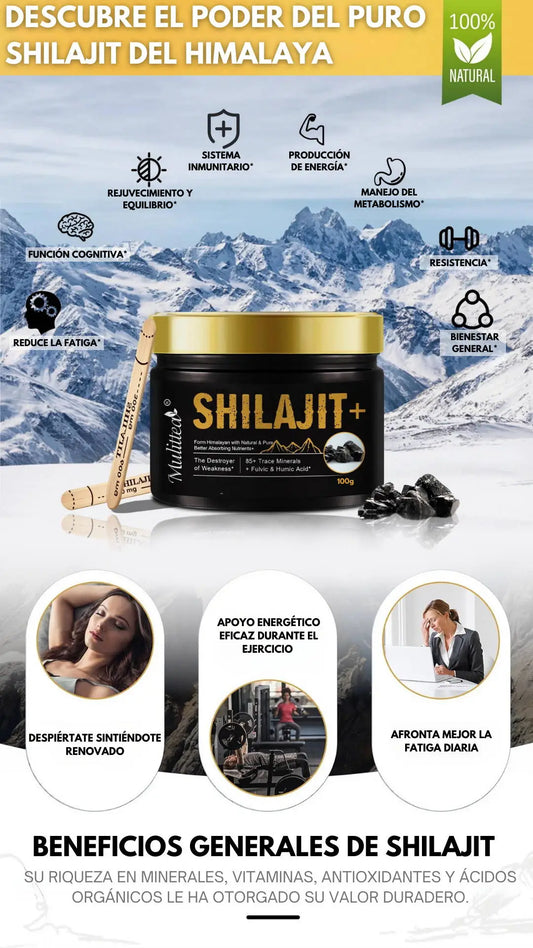 Shilajit orgánica pura del Himalaya de 100g